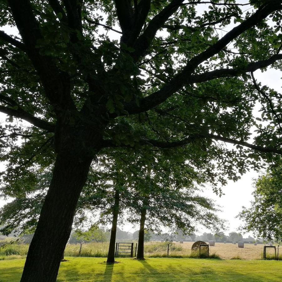 Le Gite Du Fou Logement 8 Pers 13Mn Puy Du Fou Saint-Amand-sur-Sevre Luaran gambar